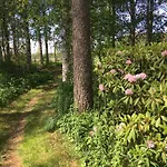 Auberge de jeunesse Vanha Koulu Monola