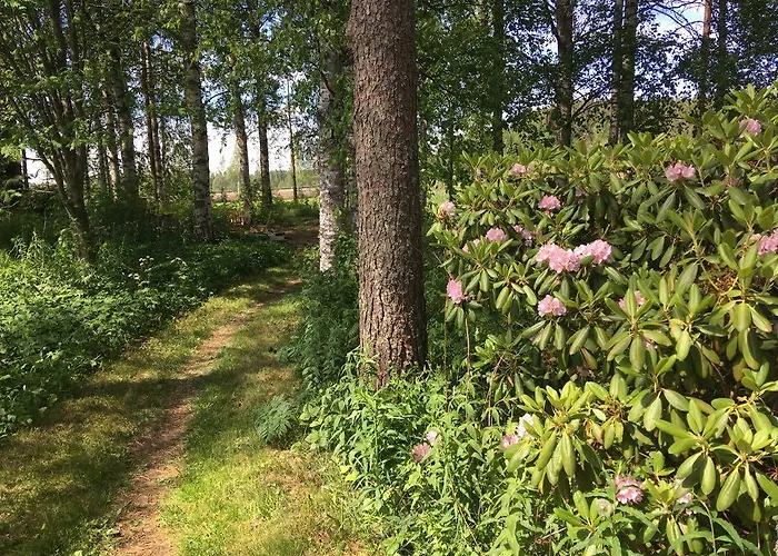 Vandrerhjem Vanha Koulu Monola